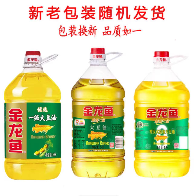 插入的图片