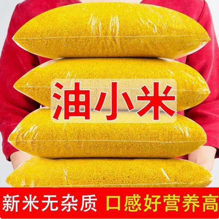 插入的图片